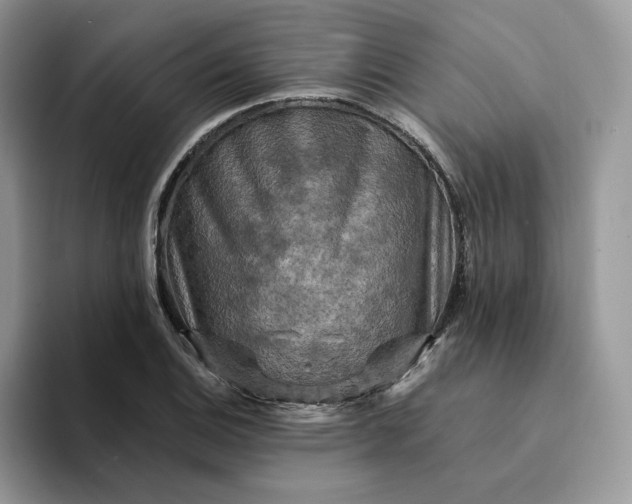 X0000094191124200711091156