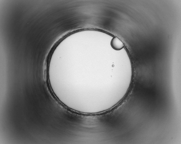 X0000094191126200711091156