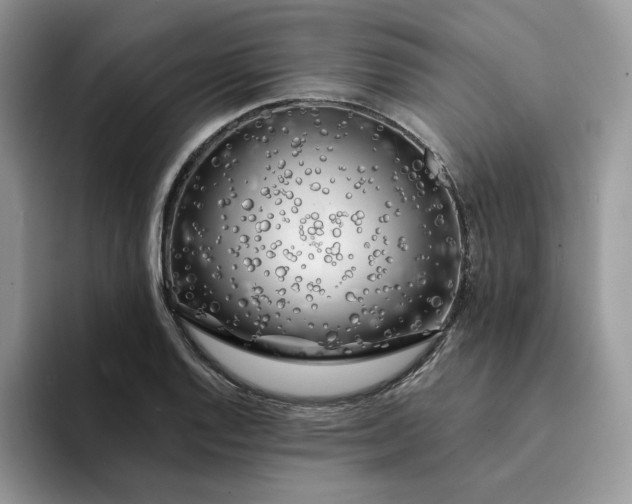 X0000094191128200711091156