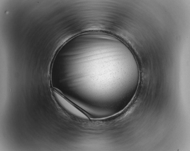 X0000094191129200711091156