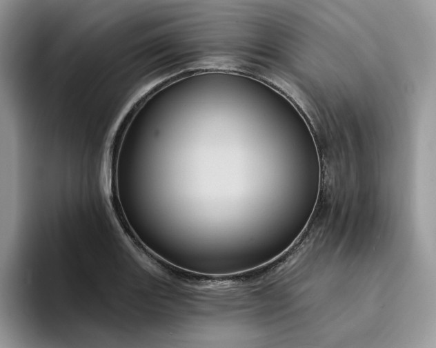 X0000094191131200711091156