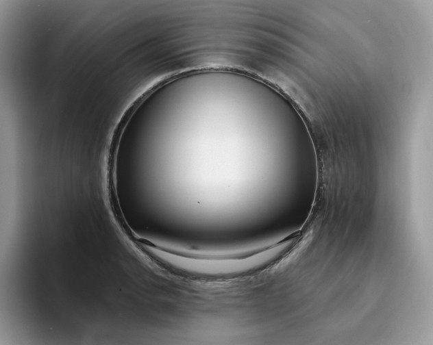 X0000094191134200711091156