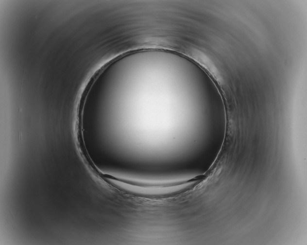 X0000094191136200711091156