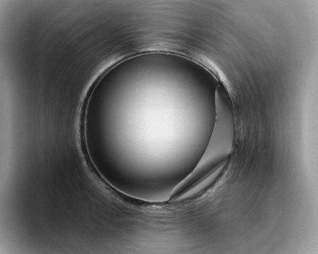 X0000094191138200711091156