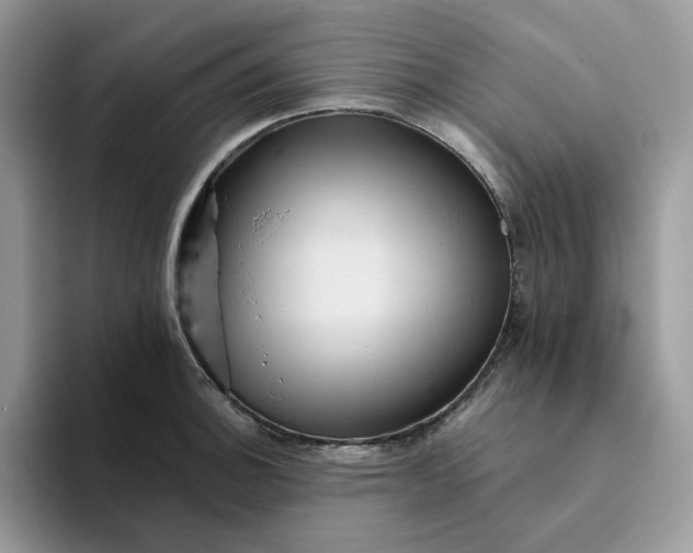 X0000094191140200711091156