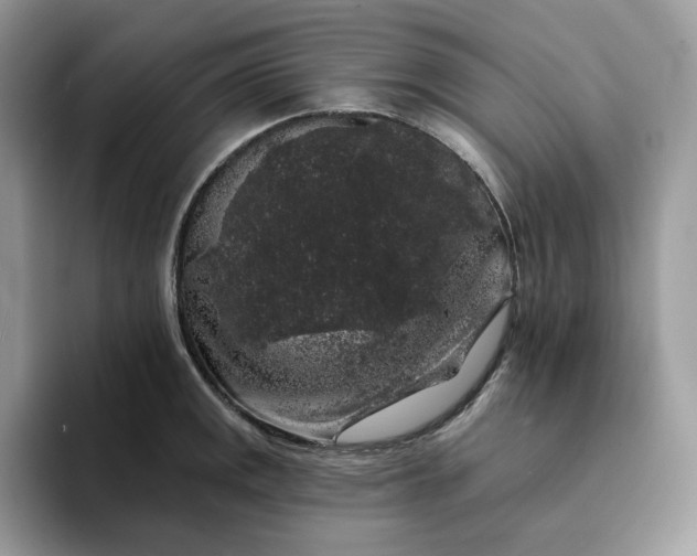 X0000094191141200711091156