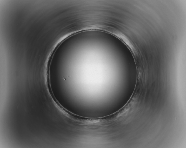 X0000094191143200711091156