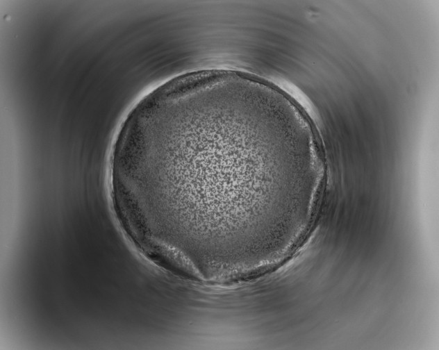 X0000094191144200711091156