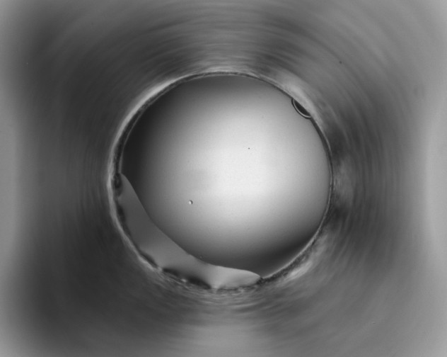 X0000094191149200711091156