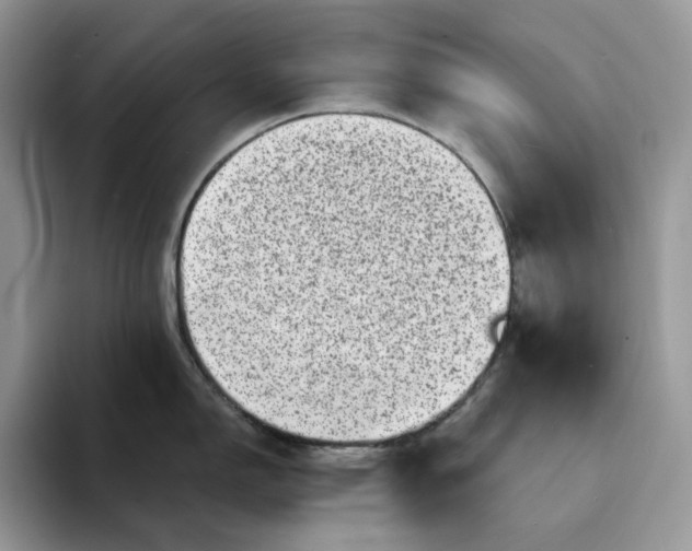 X0000094191150200711091156