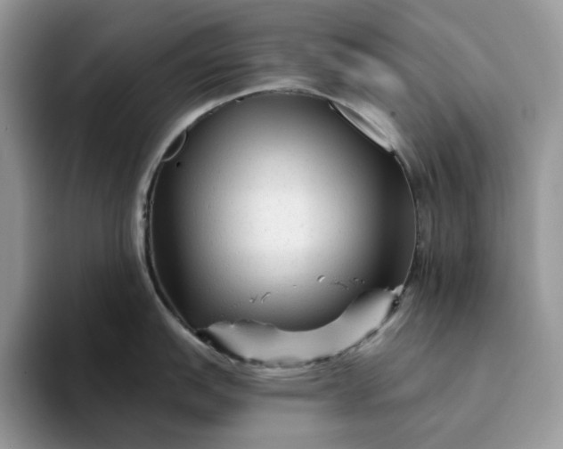 X0000094191151200711091156