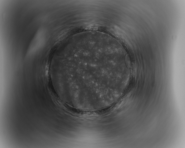 X0000094191154200711091156