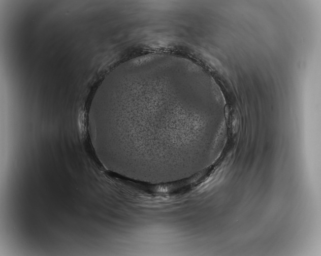 X0000094191156200711091156