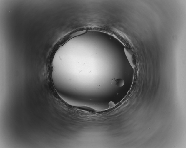 X0000094191160200711091156