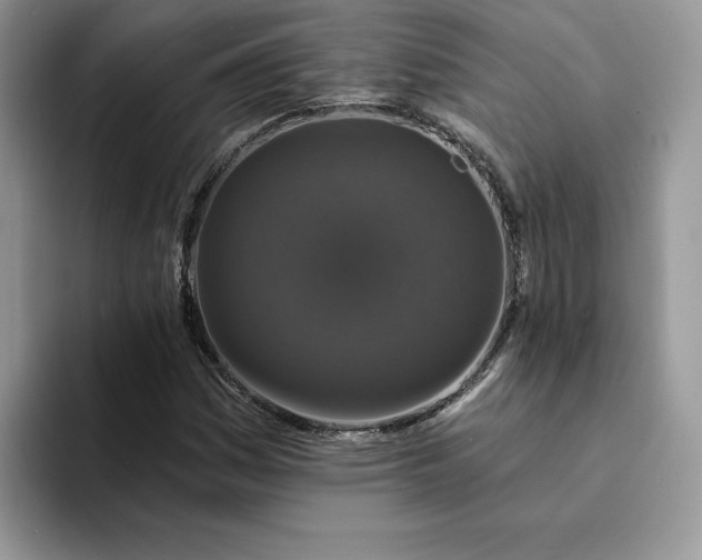 X0000094191161200711091156