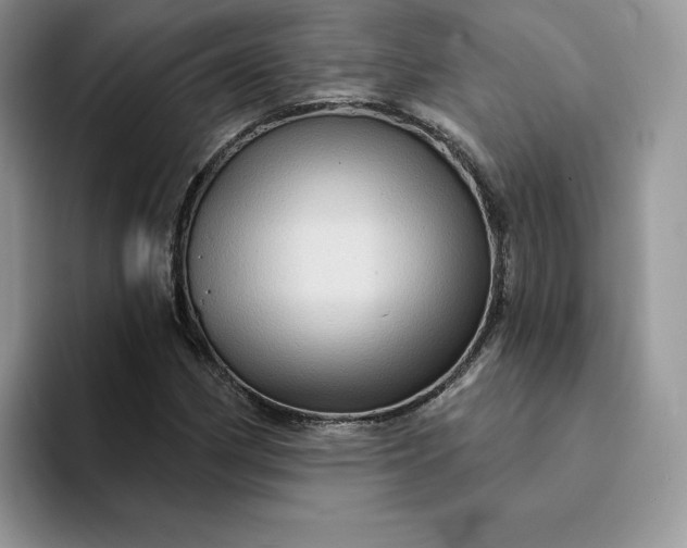 X0000094191162200711091156