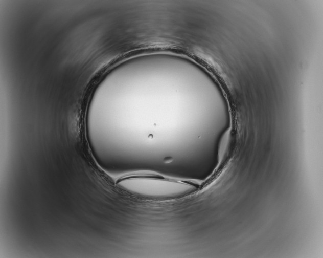 X0000094191163200711091156