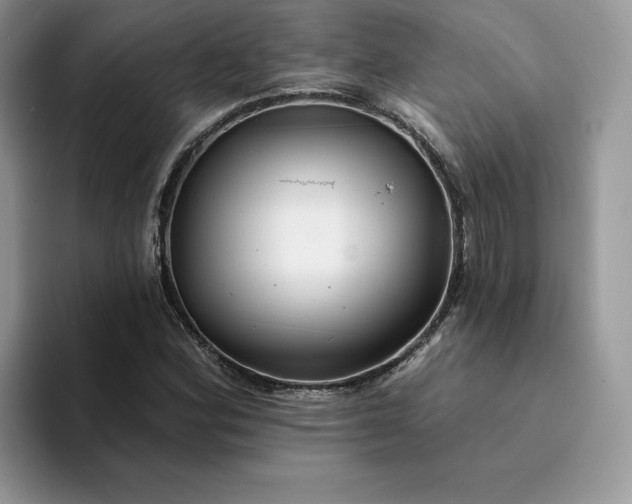 X0000094191164200711091156