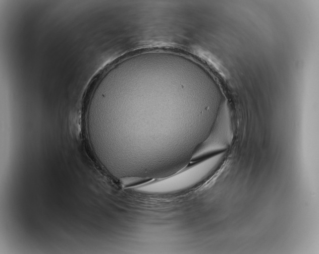 X0000094191165200711091156