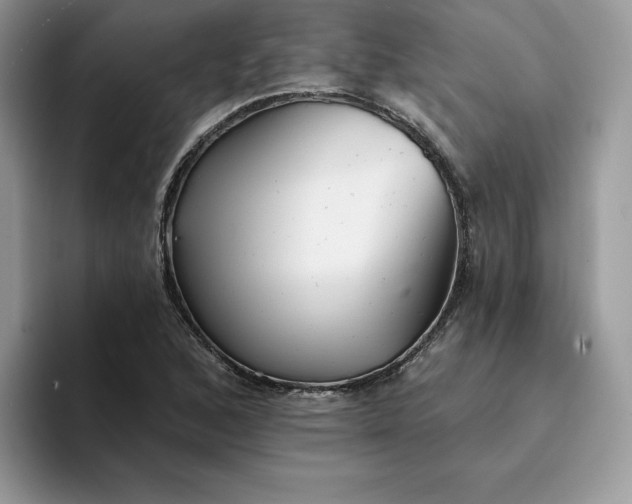 X0000094191168200711091156