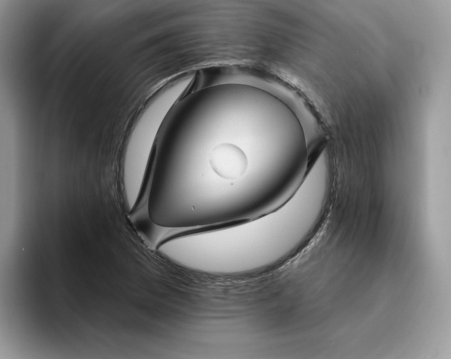 X0000094191169200711091156