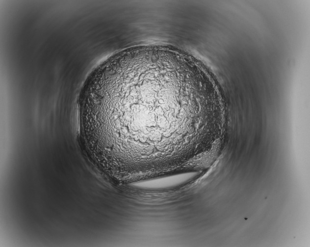 X0000094191171200711091156