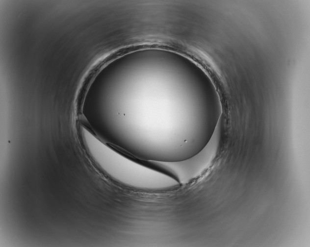 X0000094191172200711091156