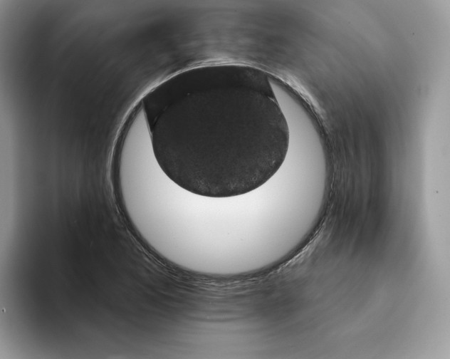 X0000094191173200711091156