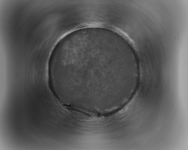 X0000094191174200711091156