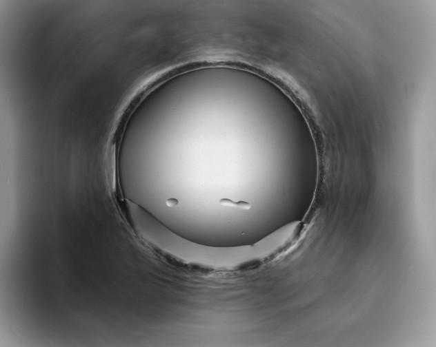 X0000094191175200711091155