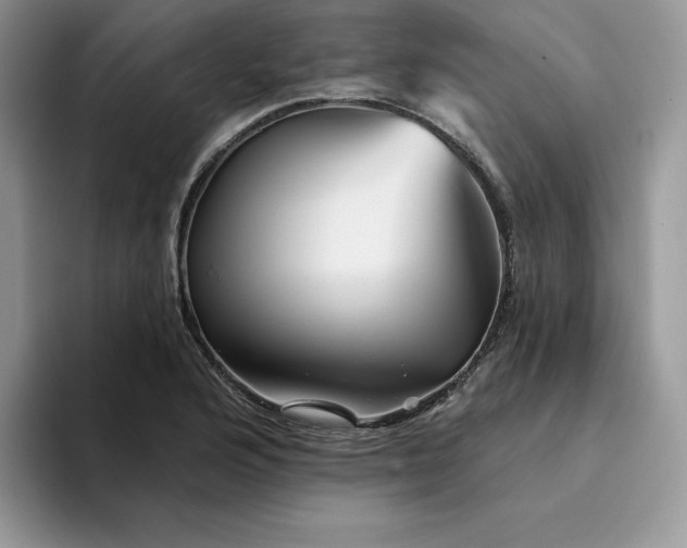 X0000094191176200711091155