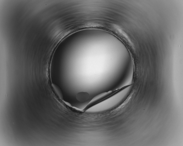 X0000094191177200711091155