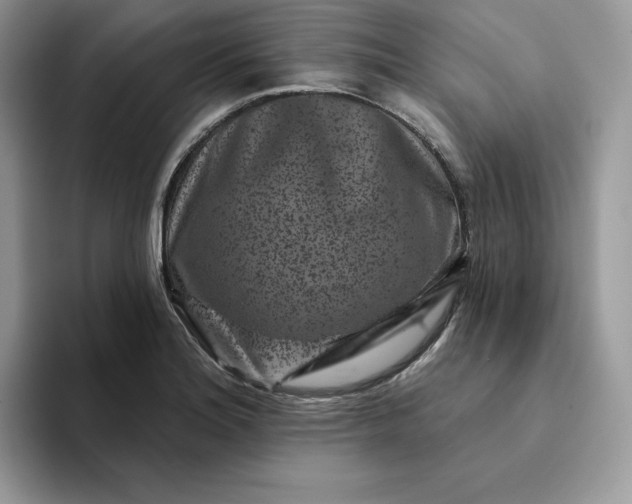 X0000094191180200711091155