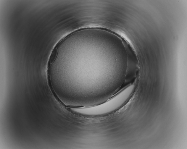 X0000094191181200711091155