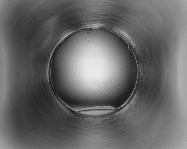 X0000094191186200711091155