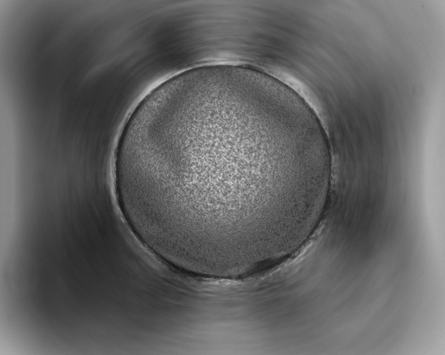 X0000094191187200711091155