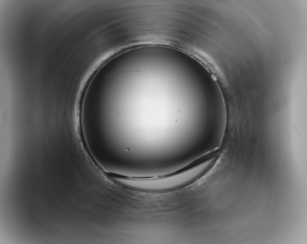 X0000094191188200711091155