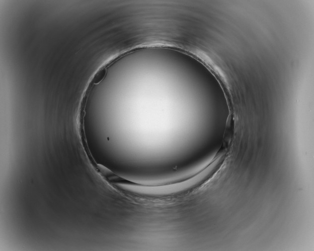 X0000094191189200711091155