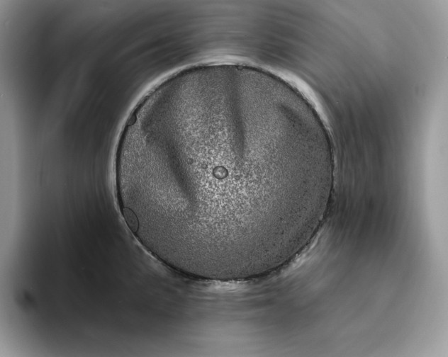 X0000094191191200711091155