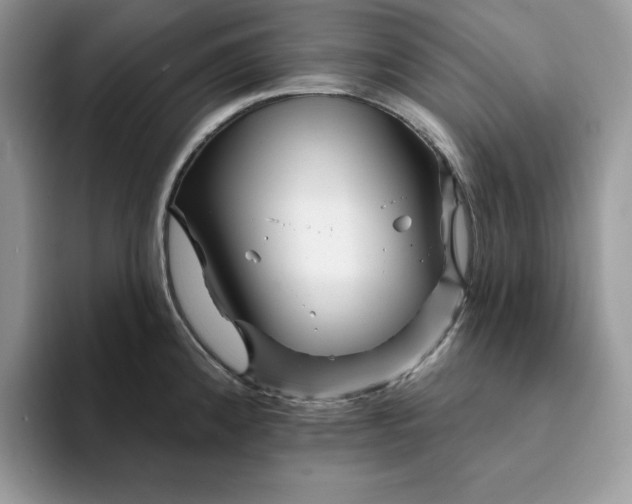 X0000094191192200711091155