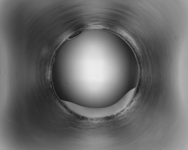 X0000094191193200711091155