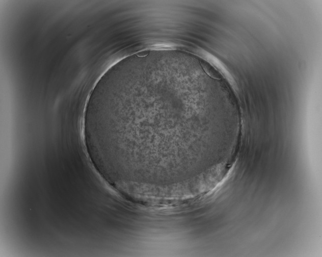 X0000094191194200711091155