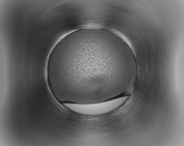 X0000094191195200711091155