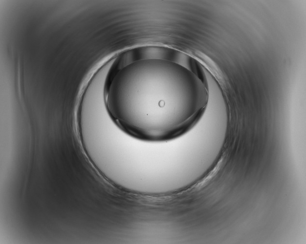 X0000094191196200711091155