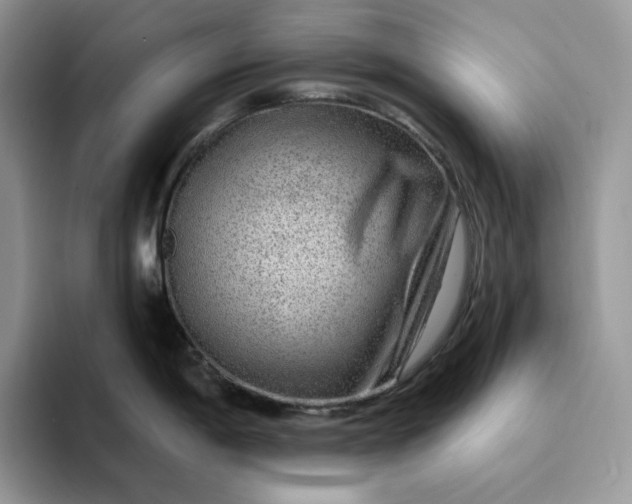 X0000094191198200711091155