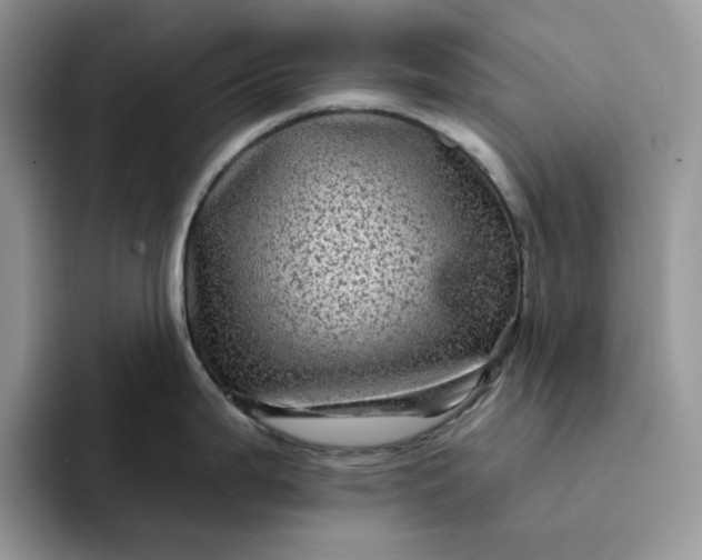 X0000094191199200711091155