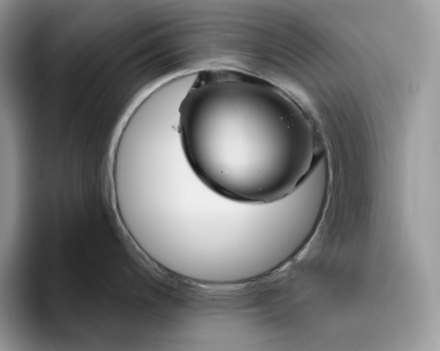 X0000094191200200711091155