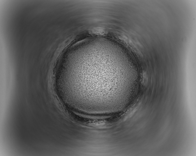 X0000094191201200711091154