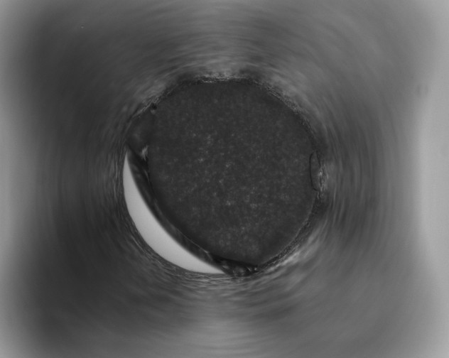 X0000094191202200711091154