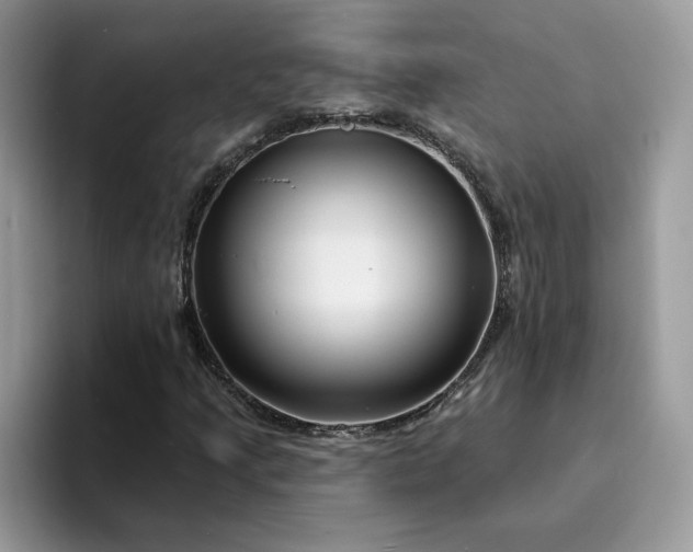 X0000094191205200711091154